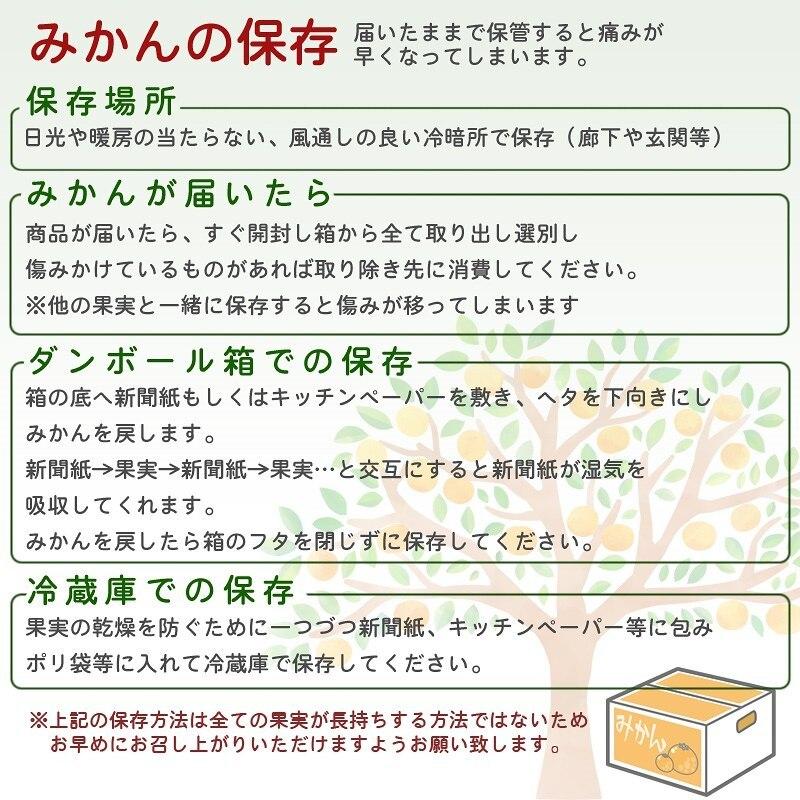 みかん 10kg（箱込約10kg） 和歌山県産 訳あり・ご家庭用 送料無料（東北・北海道・沖縄県除く）｜harumaya｜08