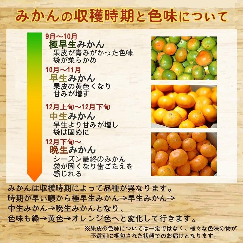 みかん 小玉(3S-Sサイズ) 10kg(箱込約10kg) 和歌山県産 訳あり・ご家庭用 送料無料(東北・北海道・沖縄県除く) :mikan3S-S10:HARUMA屋 ヤフーショッピング店 - 通販 - Yahoo!ショッピング みかん 小玉(3S-Sサイズ) 10kg(箱込約10kg) 和歌山県産 訳あり・ご家庭用 送料無料(東北・北海道・沖縄県除く) :mikan3S-S10:HARUMA屋 ヤフーショッピング店 - 通販 - Yahoo!ショッピング