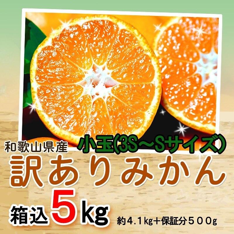 みかん 小玉（3S-Sサイズ） 5kg（箱込約5kg） 和歌山県産 訳あり・ご家庭用 送料無料（東北・北海道・沖縄県除く）｜harumaya｜02