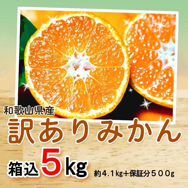 みかん 5kg(箱込約5kg) 和歌山県産 訳あり・ご家庭用 送料無料(東北・北海道・沖縄県除く) :mikan5:HARUMA屋 ヤフーショッピング店 - 通販 - Yahoo!ショッピング みかん 5kg(箱込約5kg) 和歌山県産 訳あり・ご家庭用 送料無料(東北・北海道・沖縄県除く) :mikan5:HARUMA屋 ヤフーショッピング店 - 通販 - Yahoo!ショッピング