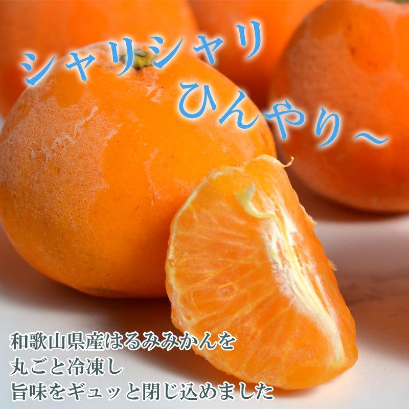 冷凍はるみ 3kg メーカー公式ショップ 和歌山県産 訳あり ご家庭用 はるみみかん 同梱不可 東北 沖縄県除く 送料無料 北海道