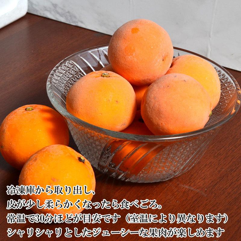 冷凍はるみ 3kg メーカー公式ショップ 和歌山県産 訳あり ご家庭用 はるみみかん 同梱不可 東北 沖縄県除く 送料無料 北海道