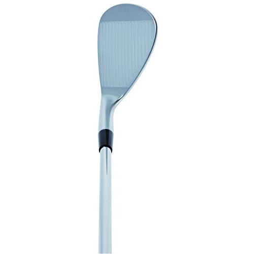 キャスコ(Kasco) ロブ ドルフィンウェッジ ストレートネックタイプ DW-118 DYNAMIC GOLD S200 スチール メンズ DW-118 右 60 フレックス:S DW