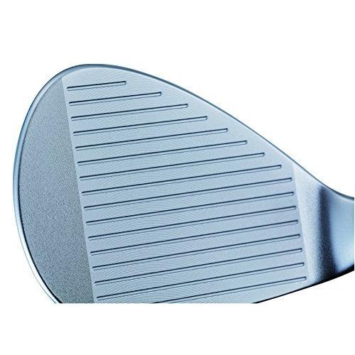 キャスコ(Kasco) ロブ ドルフィンウェッジ ストレートネックタイプ DW-118 DYNAMIC GOLD S200 スチール メンズ DW-118 右 60 フレックス:S DW