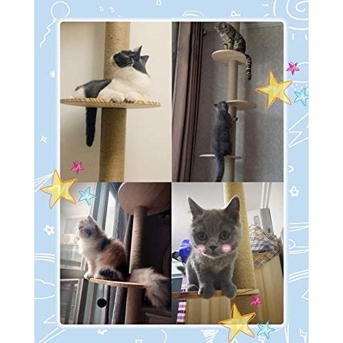 大特価!!】【大特価!!】極太木登りタワー 宇宙船ハンモック付き 12cm