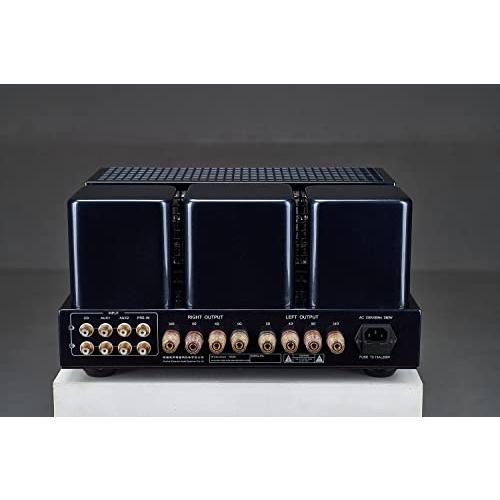 【新入荷】 Willsenton R300 チューブアンプ300Bx2シングルエンドクラスA統合アンプパワーアンプヘッドフォンアンプオールインワン 【LWH3054794875】(107933円)