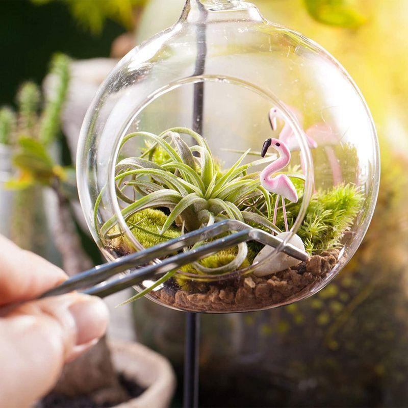 Toymytoy 苔栽培 苔リウム 水槽 ピンセット 多肉植物 テラリウム用 精密 ピンセット 実用 便利 多機能 5種類 滑り止めタイプ Haru Sマーケット本店 通販 Yahoo ショッピング