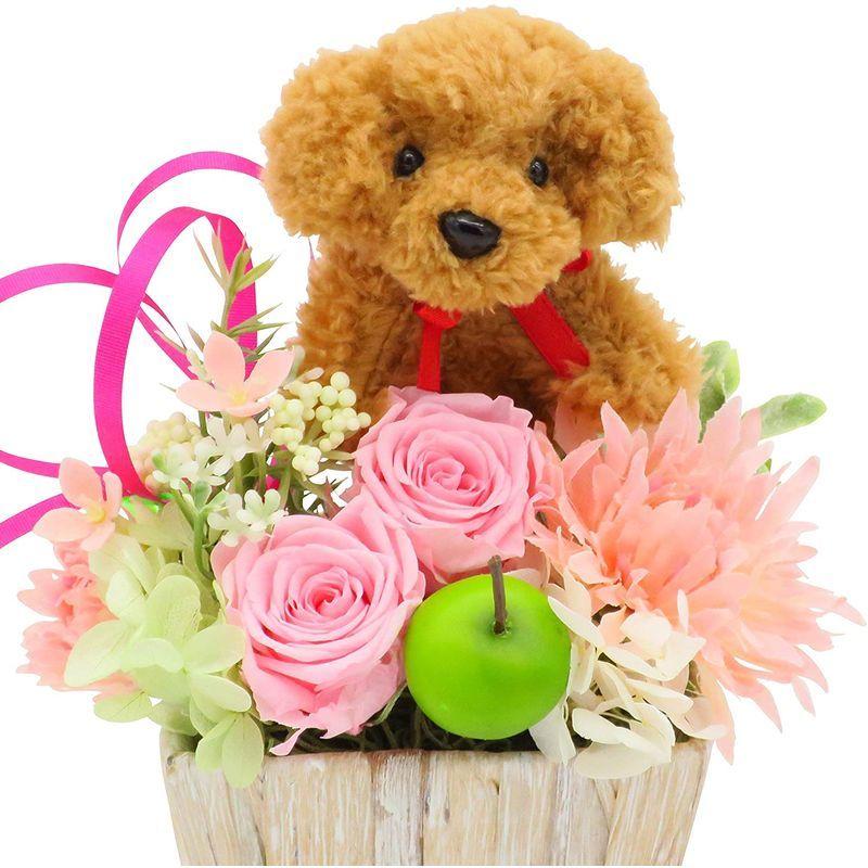敬老の日 花 誕生日プレゼント 花 ギフト プレゼント 女性 プリザーブドフラワー フラワーアレンジメ ント 犬 アレンジメントトイプードル 花束 アレンジメント Joyrefresconatural Com Br