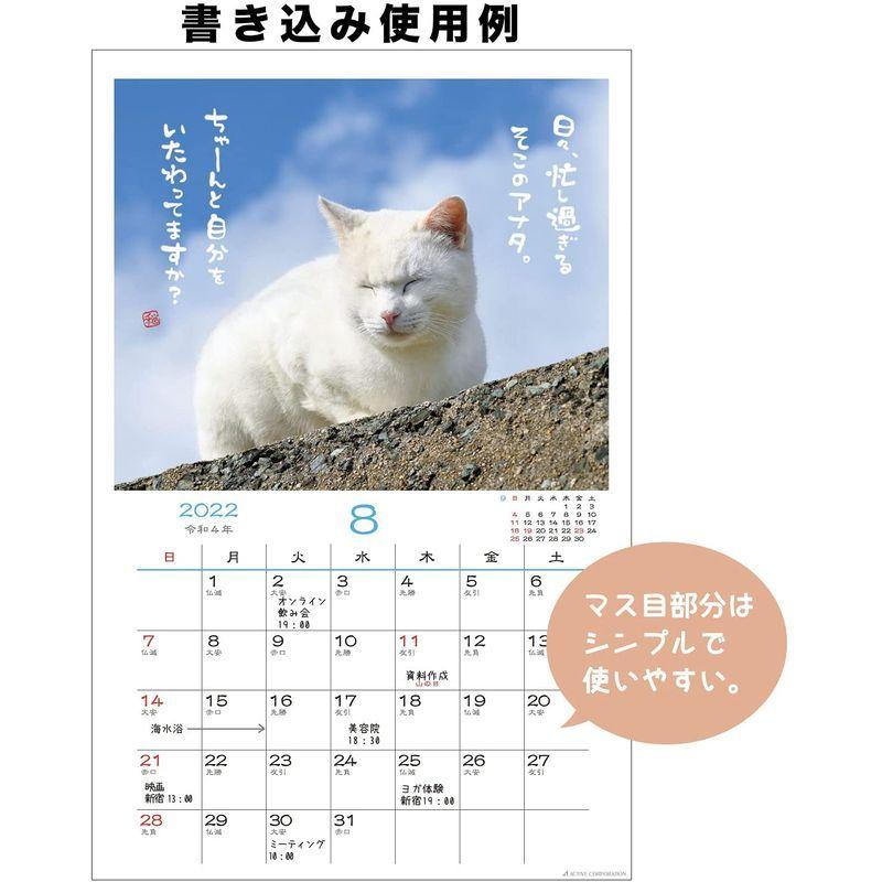 アクティブコーポレーション 2022年 カレンダー 壁掛け 日なたぼっこ猫だより ACL-04 :20211202003953-00205:春和堂 -  通販 - Yahoo!ショッピング