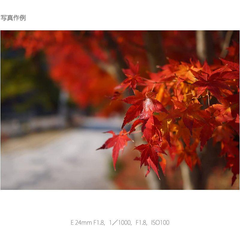 ソニー / 広角単焦点レンズ / APS-C / Sonnar T* E 24mm F1.8 ZA / ツァイスレンズ / デジタル一眼カメ :20220920031514-00471:春和堂 - 通販 - Yahoo!ショッピング ソニー / 広角単焦点レンズ / APS-C / Sonnar T* E 24mm F1.8 ZA / ツァイスレンズ / デジタル一眼カメ :20220920031514-00471:春和堂 - 通販 - Yahoo!ショッピング