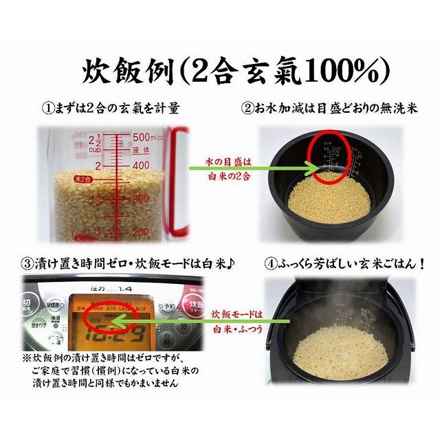 無農薬 国産玄米 無洗米 玄氣1.5kg(川島米穀店)  GABA ギャバ 健康米 美味しい玄米｜harvest-garden｜20