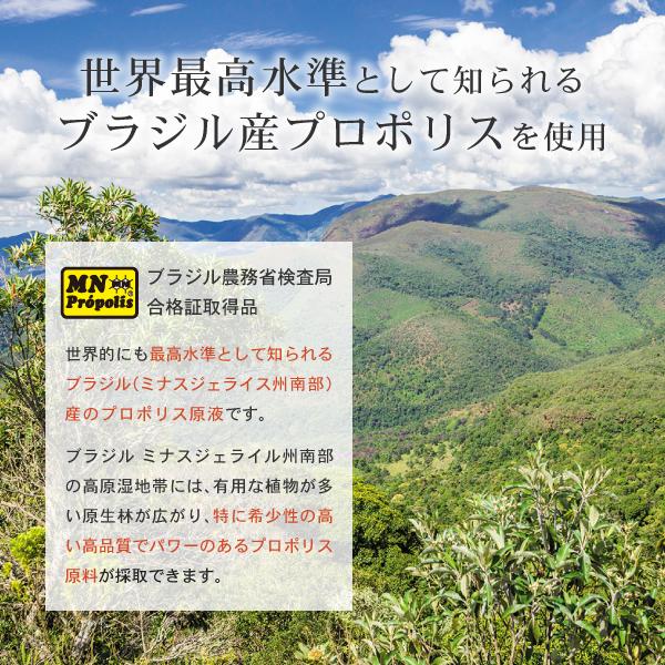 高品質 高純度プロポリス原液30ml(3本セット) 天然の抗生物質 免疫力 健康食品 最高水準ブラジル産 (エーエフシー AFC)｜harvest-garden｜07