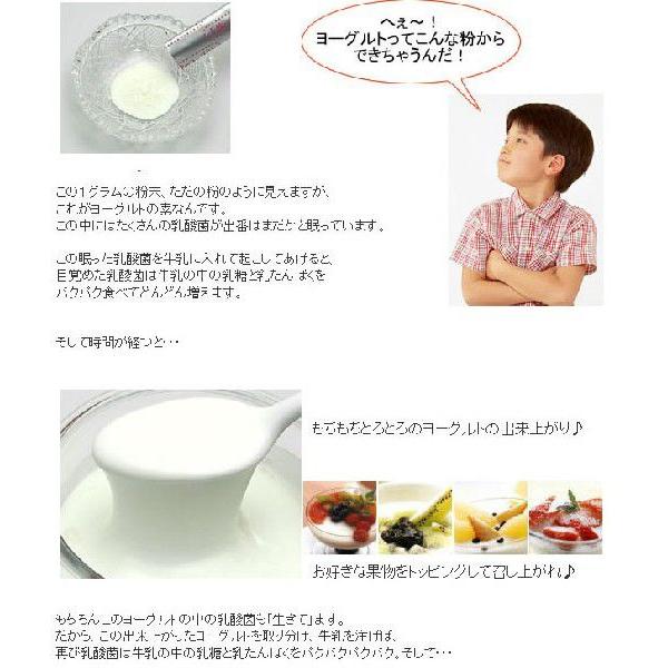 ヨーグルトの願い5本入 ヨーグルトの種 増えるヨーグルト 天使のヨーグルト|harvest-garden|04