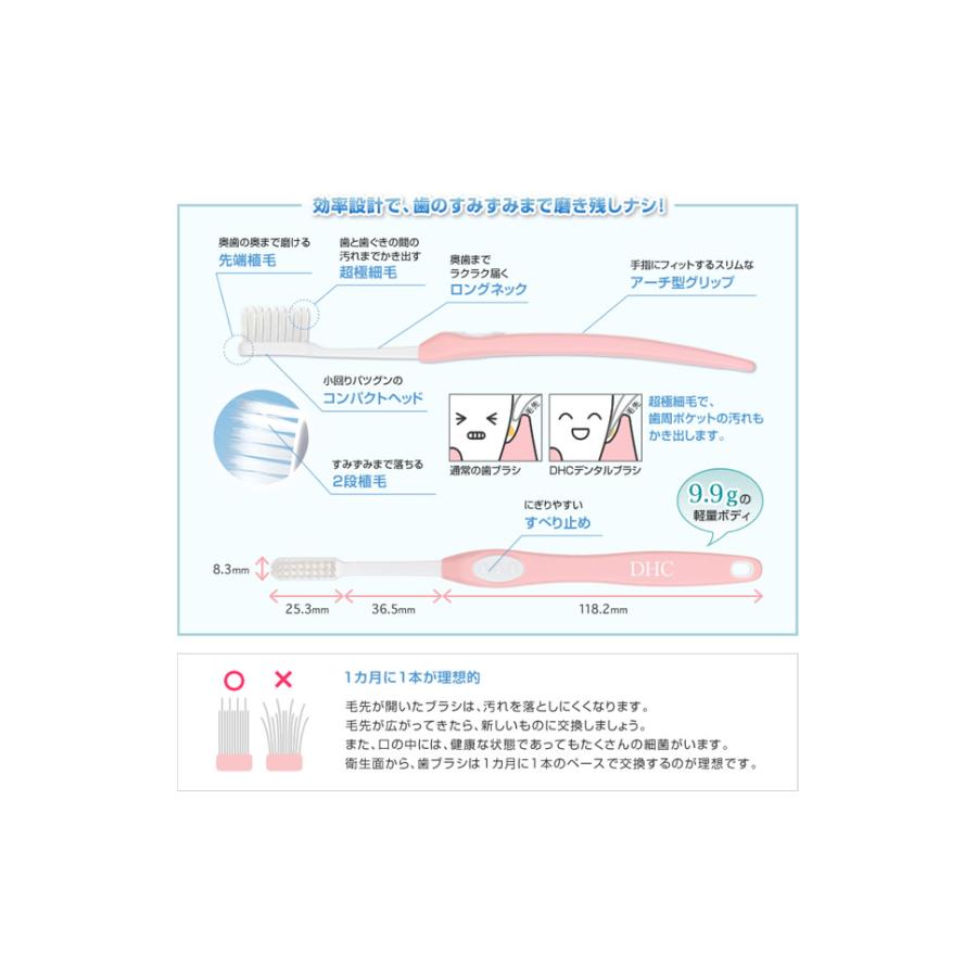 歯ブラシ ハブラシ DHCデンタルブラシ ふつう 口腔ケア オーラルケア 歯垢除去｜harvest-garden｜02