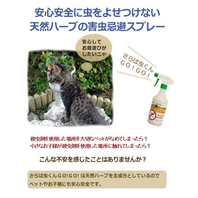 （3個セット） 虫忌避剤 蚊よけ カメムシ ユスリカ さらば虫くんGO!GO!1L 詰め替え用 |  | 02