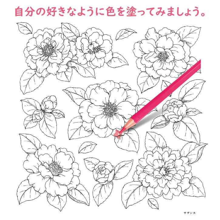 新装版) コスミック出版 心がやすらぐ花のぬりえセット 24色鉛筆
