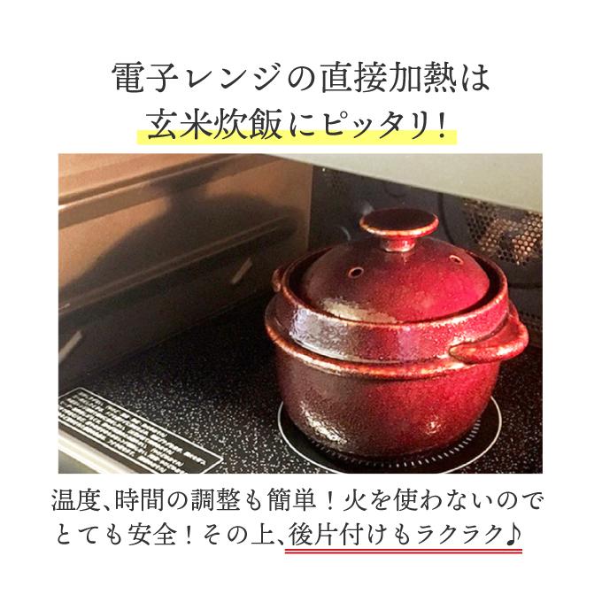 クリヤマ ケデップ レンジで玄米炊飯セット(K+dep) : ハーベスト