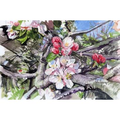 限定品 ジョン・ハーヴィー水彩画 Apple Blossom アップルブロッサム (額なし）