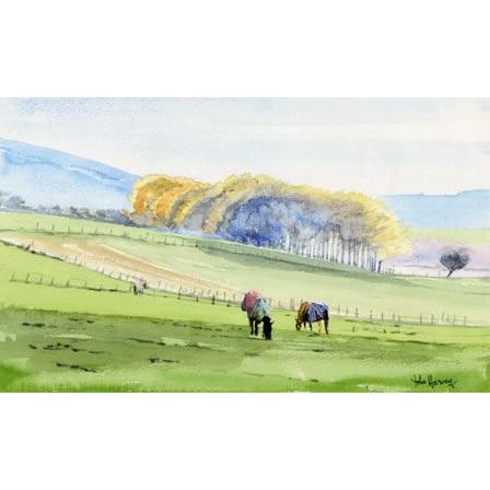 限定品 ジョン・ハーヴィーの水彩画 Grazing on the Downs 草をはむ馬 （額なし）