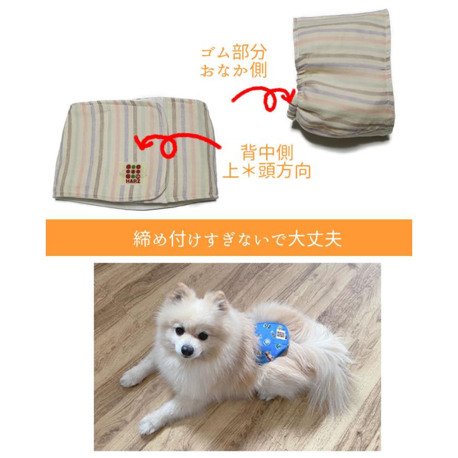 Harzth ハーズ マナーベルト 犬 M ふっくらガーゼ 小型犬 中型犬 マナ ーベルト 防水シーツ 犬ベルト マナーバンド 犬服 犬おむつ Ga Zemana M Harzth Yahoo Shop 通販 Yahoo ショッピング