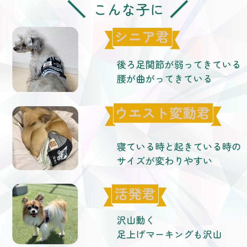 HARZth ハーズ マナーベルト S オス 男の子 ガーゼ ずれ ない 小型犬