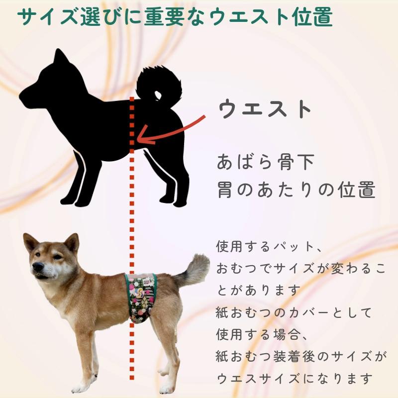 HARZth ハーズ マナーベルト S オス 男の子 ガーゼ ずれ ない 小型犬