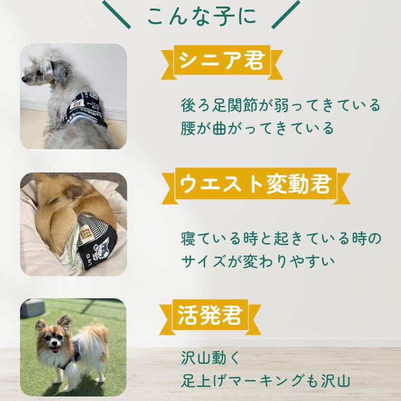 HARZth ハーズ マナーベルト オス L 犬用 オムツカバー マーキング対策