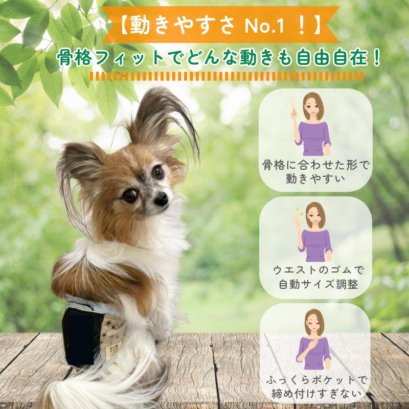 パピヨン犬デザイン マナーベルト用生地 HARZth ハーズ マナーベルト オス L 犬用 オムツカバー マーキング対策