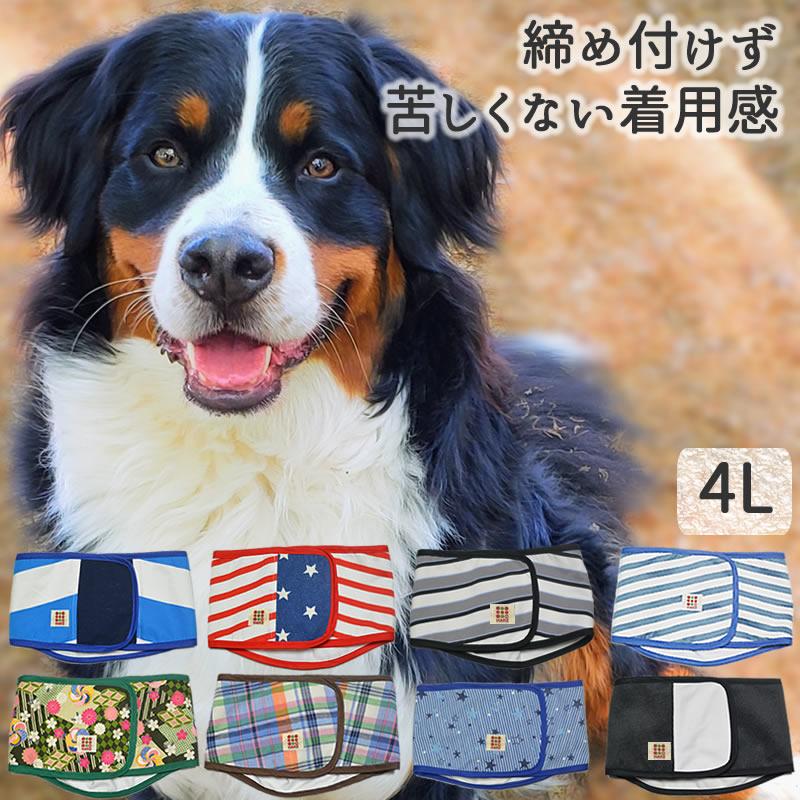 Harzth ハーズ マナーベルト オス 4L 大型犬用 犬マナーベルト 男の子