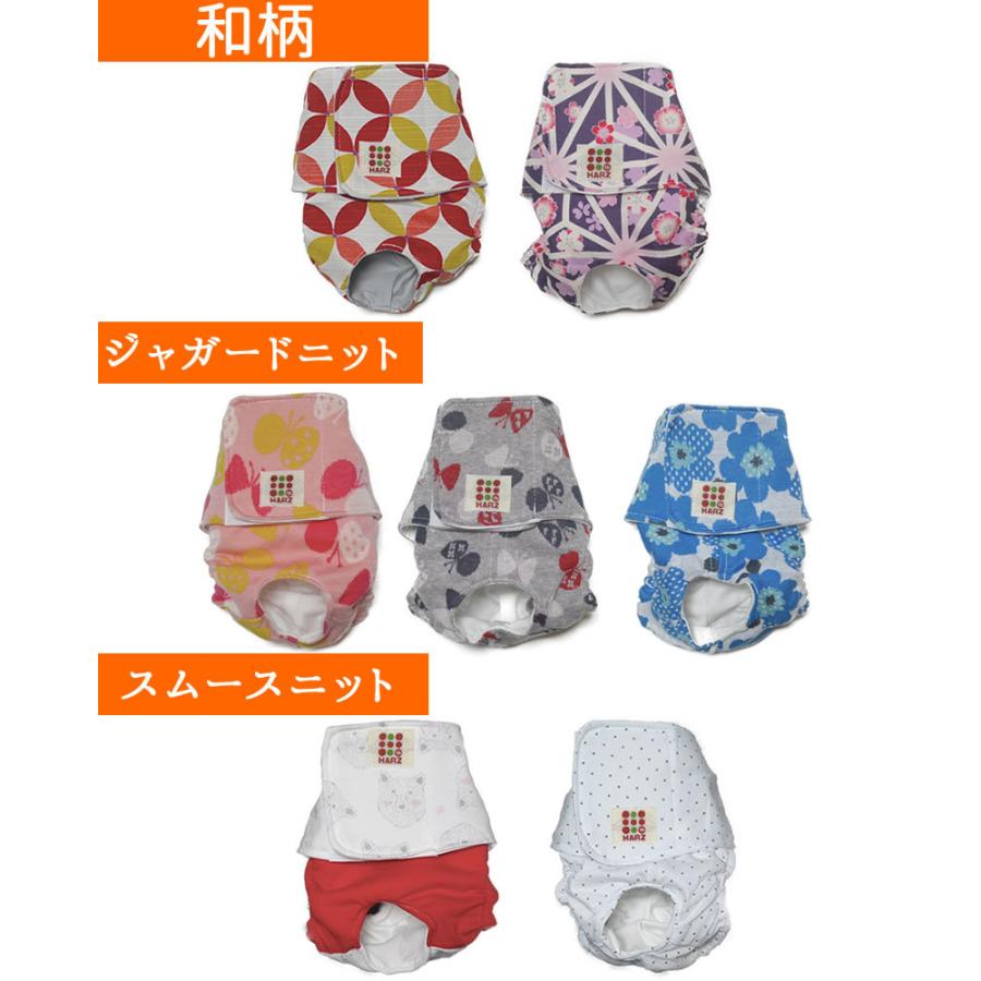 Harzth ハーズ マナーベルトおパンツ Mｓサイズ マナーパンツ マナーウェアー 犬介護用 男女兼用 オムツカバー 日本製 しっかり止まる 猫おむつ Mana Beruto Opantu Ms Harzth Yahoo Shop 通販 Yahoo ショッピング