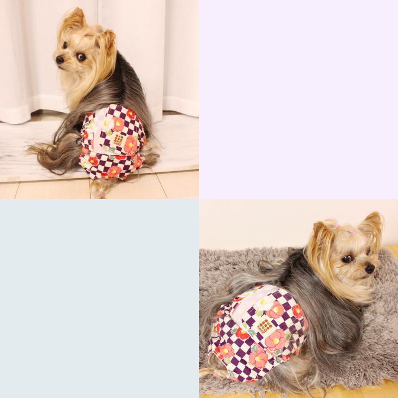 Harzth ハーズ マナーベルトおパンツ s マナーパンツ 犬 サニタリー