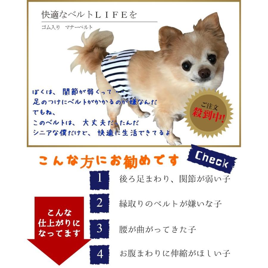 Harzth ハーズ マナーベルト ｘｓ 犬ベルト 名入れ マーキング防止 ゴム入り 簡単着脱 小型犬 中型犬 介護ベルト 22 26 マナーベルト犬 Naire Gomuiri Xs Harzth Yahoo Shop 通販 Yahoo ショッピング