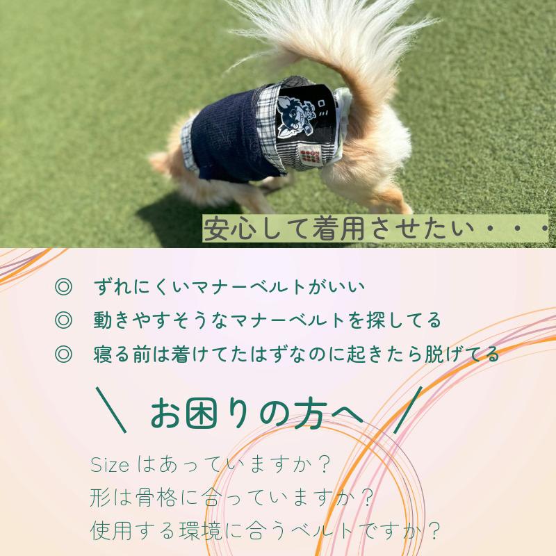 HARZth ハーズ マナーベルト オス 幅広M 犬ベルト 名入れ マーキング