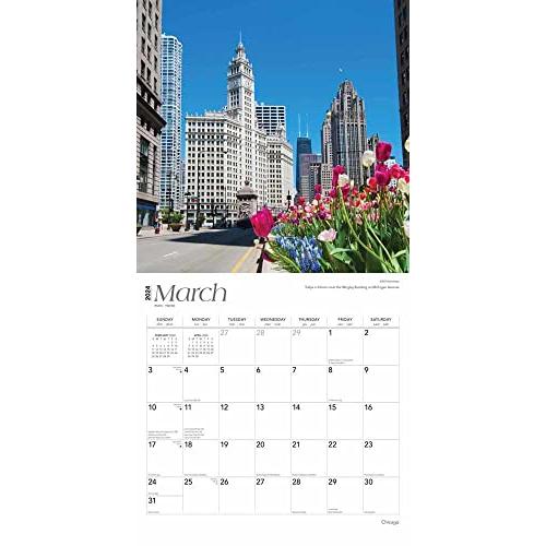 2024年 シカゴ カレンダー/ブラウントラウト 30.5 x 61 cm (Chicago Square Calendar)【並行輸入品】｜has-international｜08