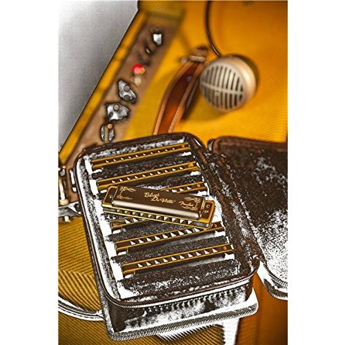 Fender フェンダー ハーモニカ 7本セット BLUES DEVILLE 7 PACK W/CASE 990702049【並行輸入品】｜has-international｜02