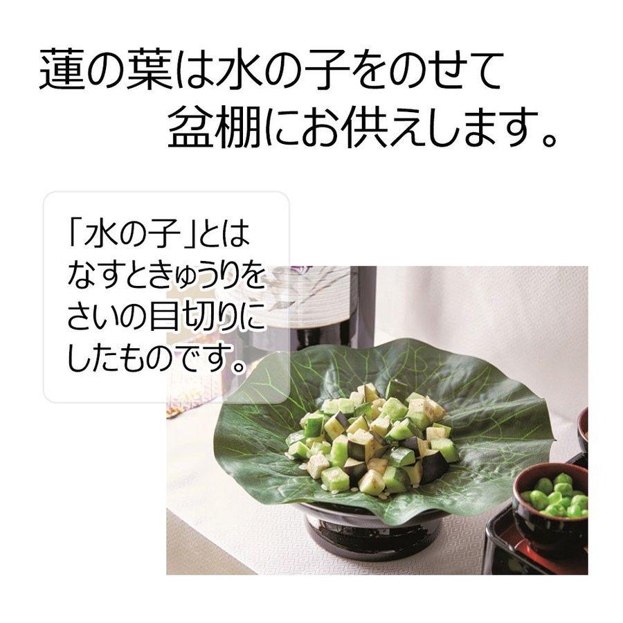 お仏壇のはせがわ 盆用品 盆飾り お盆 盆提灯 提灯 新盆 「お盆用品 蓮