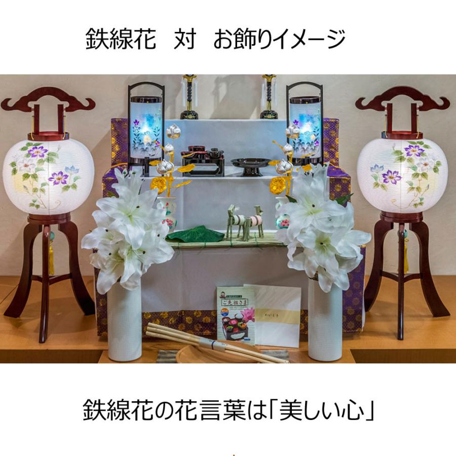 42 割引爆売り 提灯 盆提灯 お盆 盆 新盆 提灯 ギフト 新型 シンプル 新盆御見舞 贈答用 行灯 １０号 二重 鉄線花 対 ４９７ｎ お仏壇のはせがわ 仏壇 仏具 冠婚葬祭 宗教用品 キッチン 日用品 文具 Johndunnautosales Com