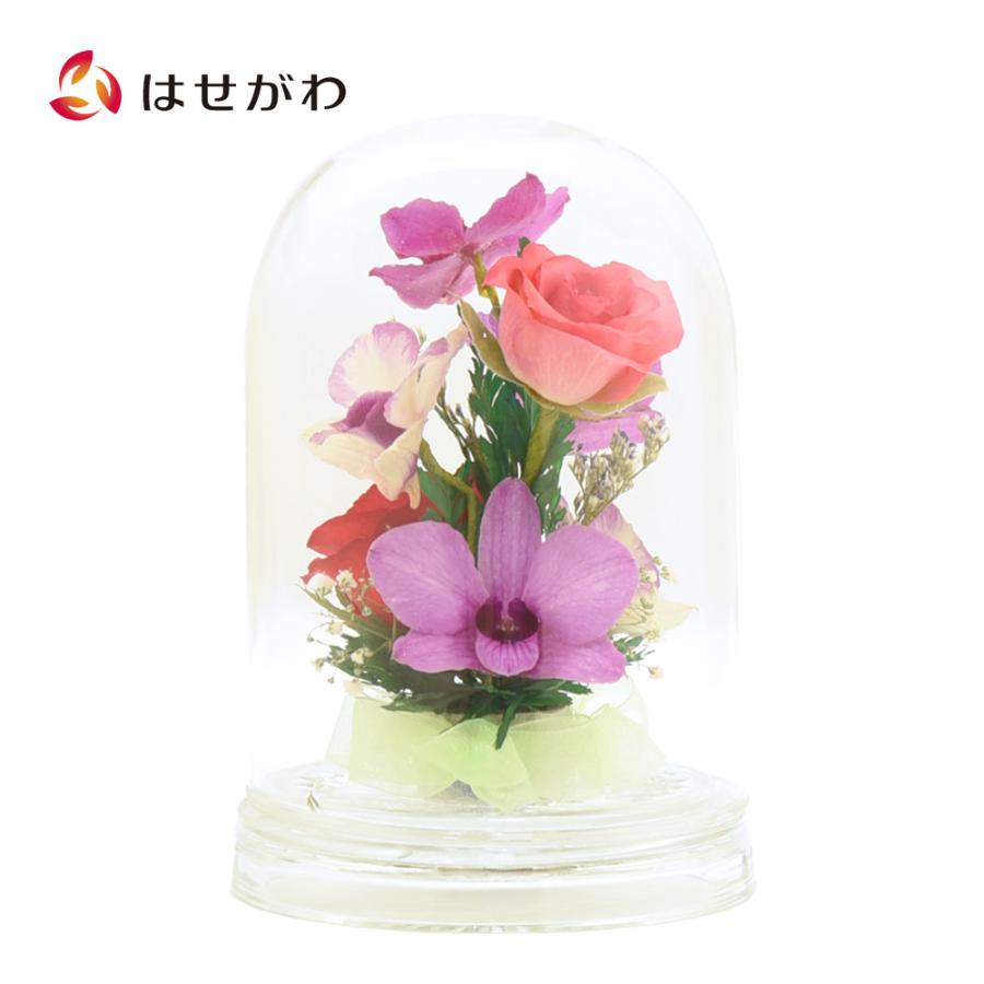 お仏壇のはせがわ ドライフラワー 造花 ガラス ボトル 花 蘭 バラ お盆