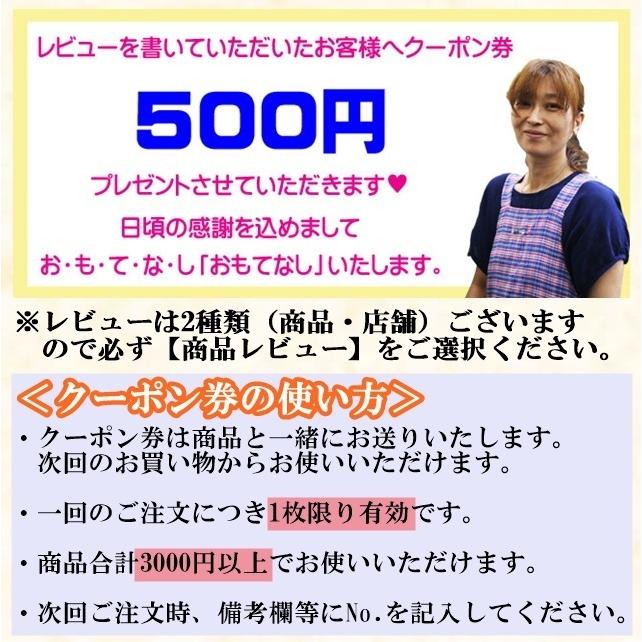 お食い初め 鯛 ハマグリ 歯固め石 セット 400g 祝鯛 敷き紙 鯛飾り 祝い箸 焼き鯛 料理 はまぐり 天然 真鯛｜hasegawasengyo｜14