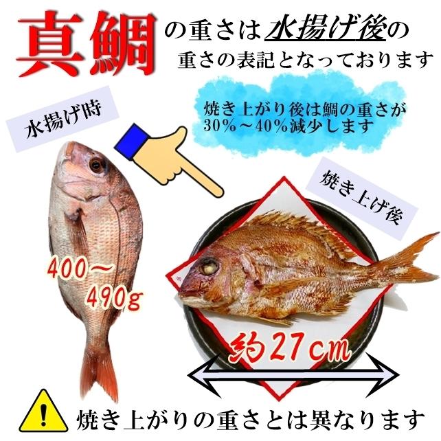 お食い初め 鯛 ハマグリ 歯固め石 セット 400g 祝鯛 敷き紙 鯛飾り 祝い箸 焼き鯛 料理 はまぐり 天然 真鯛｜hasegawasengyo｜06