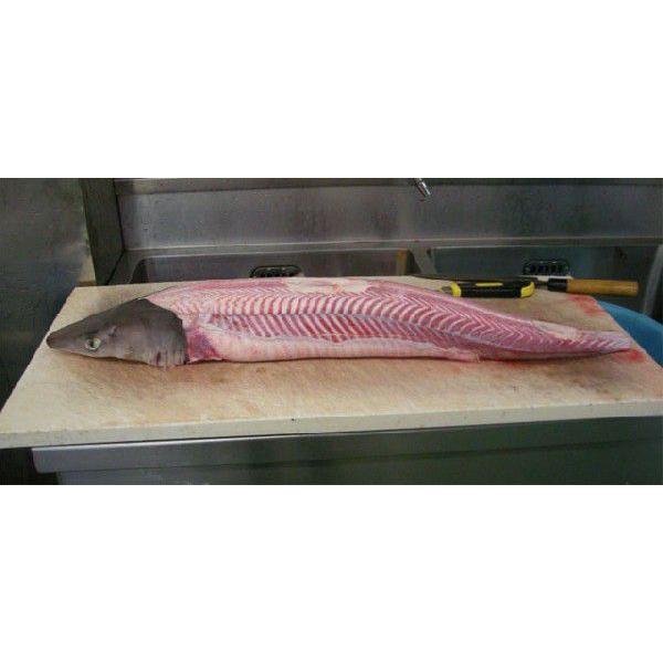 山形県産 天然 サメ アブラツノザメ 切り身 2 3ｋｇ 冷蔵 鮮魚 みそ漬けや焼き物 フライに最適 Same Kirimi 長谷川鮮魚 通販 Yahoo ショッピング