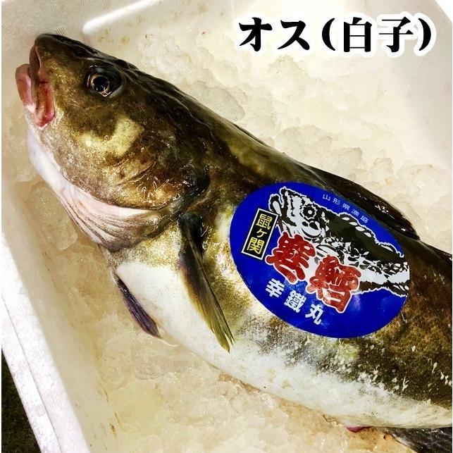 山形県産 真鱈 寒鱈 オス 白子 4ｋｇ1尾 切身8 10人前 マダラ 真ダラ 寒ダラ 鱈 1月中旬より順次発送 Taraosu41 長谷川鮮魚 通販 Yahoo ショッピング