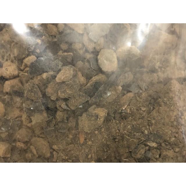 ラジウム鉱石のかけら200g ユークセン石 4μSv/h ラドンガスも