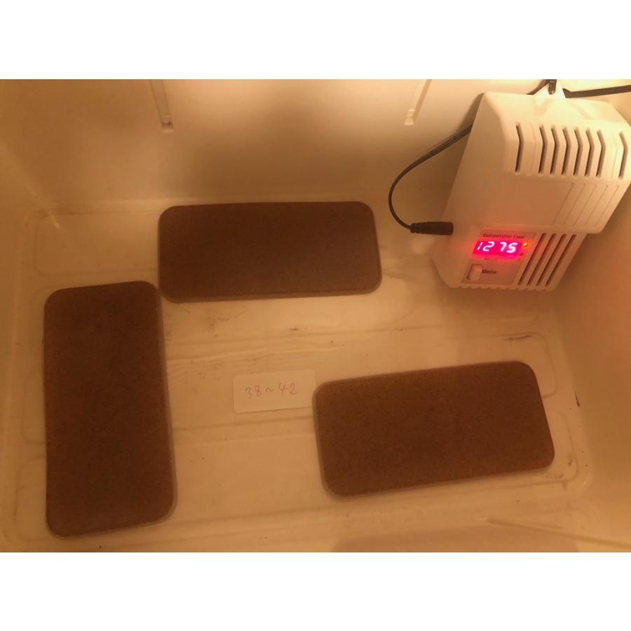 ユークセンナイト の自然パット 大 安心パウダー 本物ホルミシス お