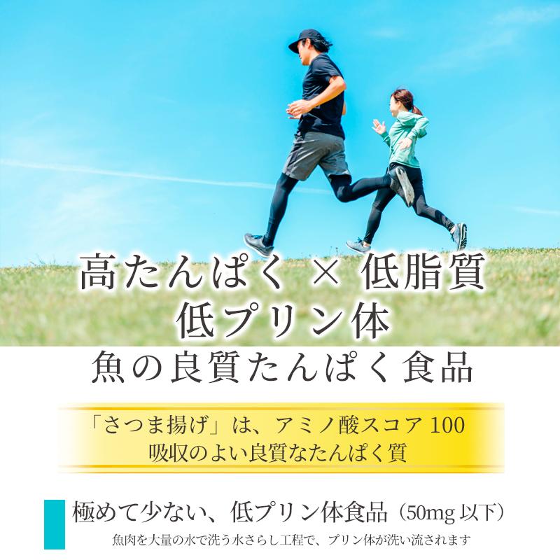 さつま揚げ 練り物 食品 2026 岡山老舗の手造りさつま揚げ 選味素材