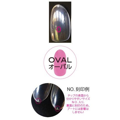 ❤️ラスト１点❤️ エリコネイル プロフェッショナル クリアチップ エリコネイル プロフェッショナル クリアチップ サイズ別チップ50枚