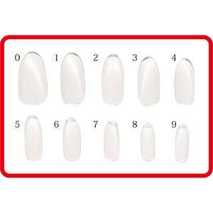 ビューティーネイラー プレミアチップスバイサイズ ロングラウンド クリア プレミアクリアチップスバイサイズ ロングラウンド クリア P15