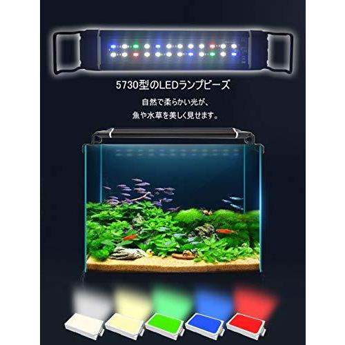 ポイント10倍 水槽 ライト タイマー付き 五色ledライト 明るさ調整 水槽照明 アクアリウムライト 28 46cm水槽対応 水槽ライト スライド式 防水 急 Globescoffers Com