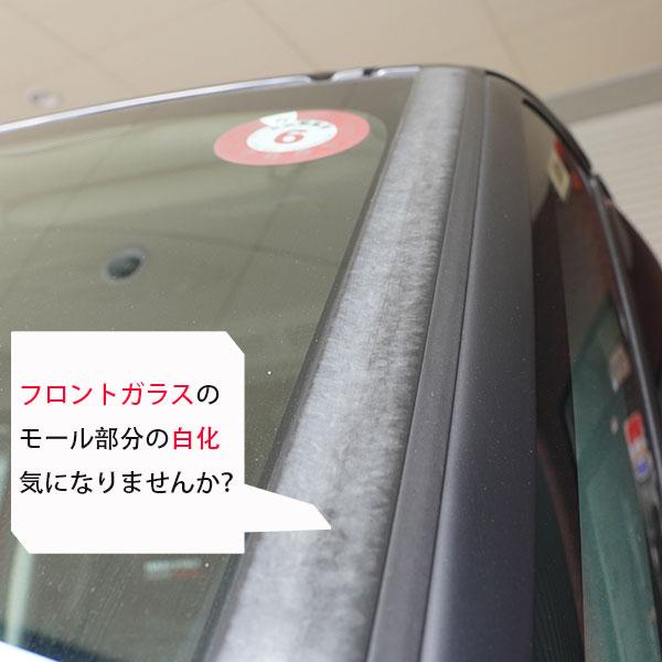 ハセプロ ゴムモールの劣化対策！フロントガラスモールガーニッシュ