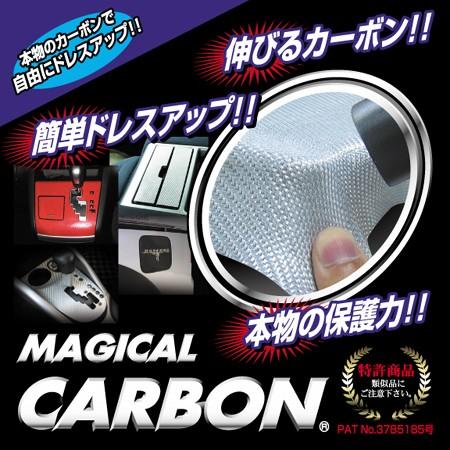 ハセプロ ピラーセット マジカルカーボン 保護カバー バイザーカット